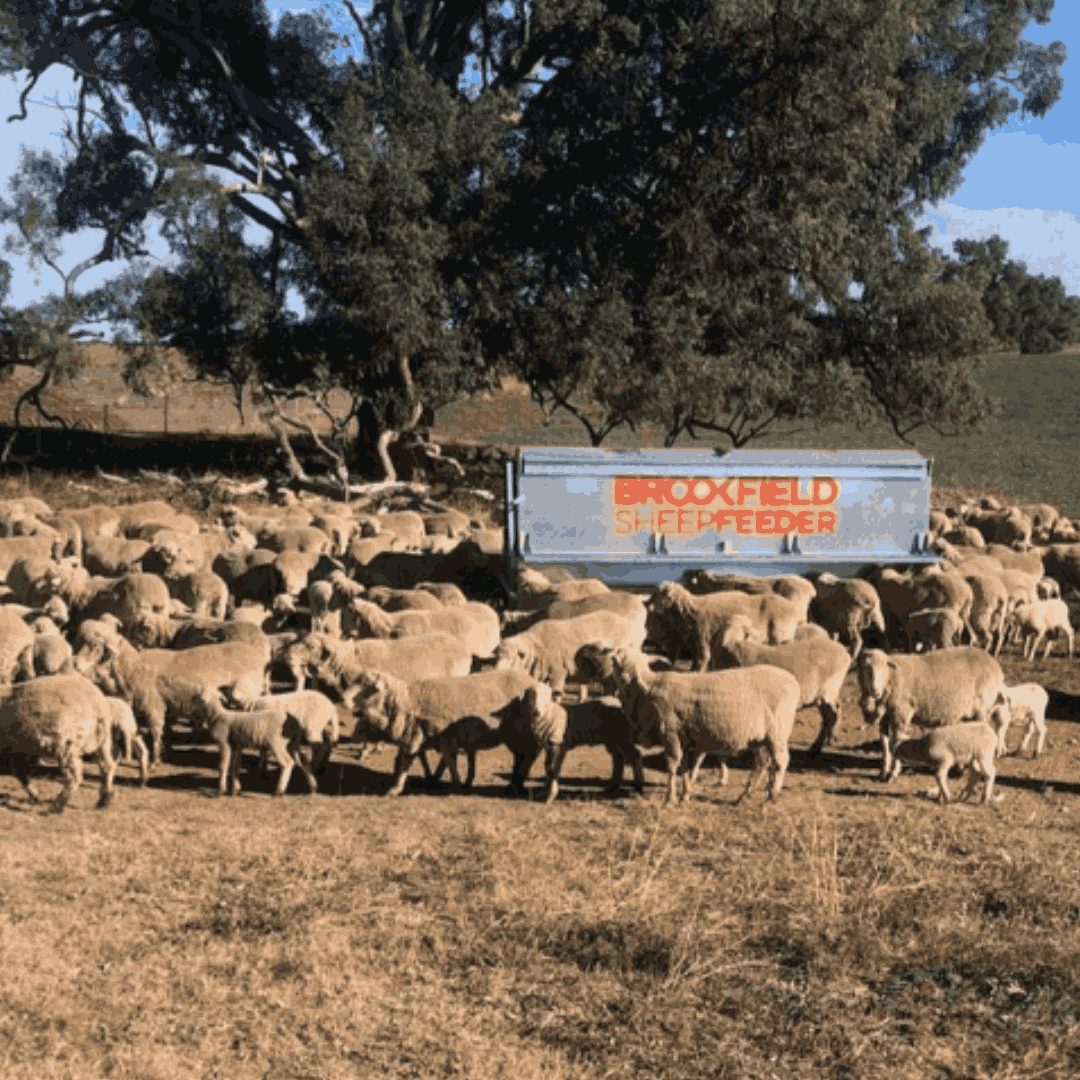 StockFeeder gallery4-brookfield-innovative-agricultural-machinery-supplier (5)_22_11zon