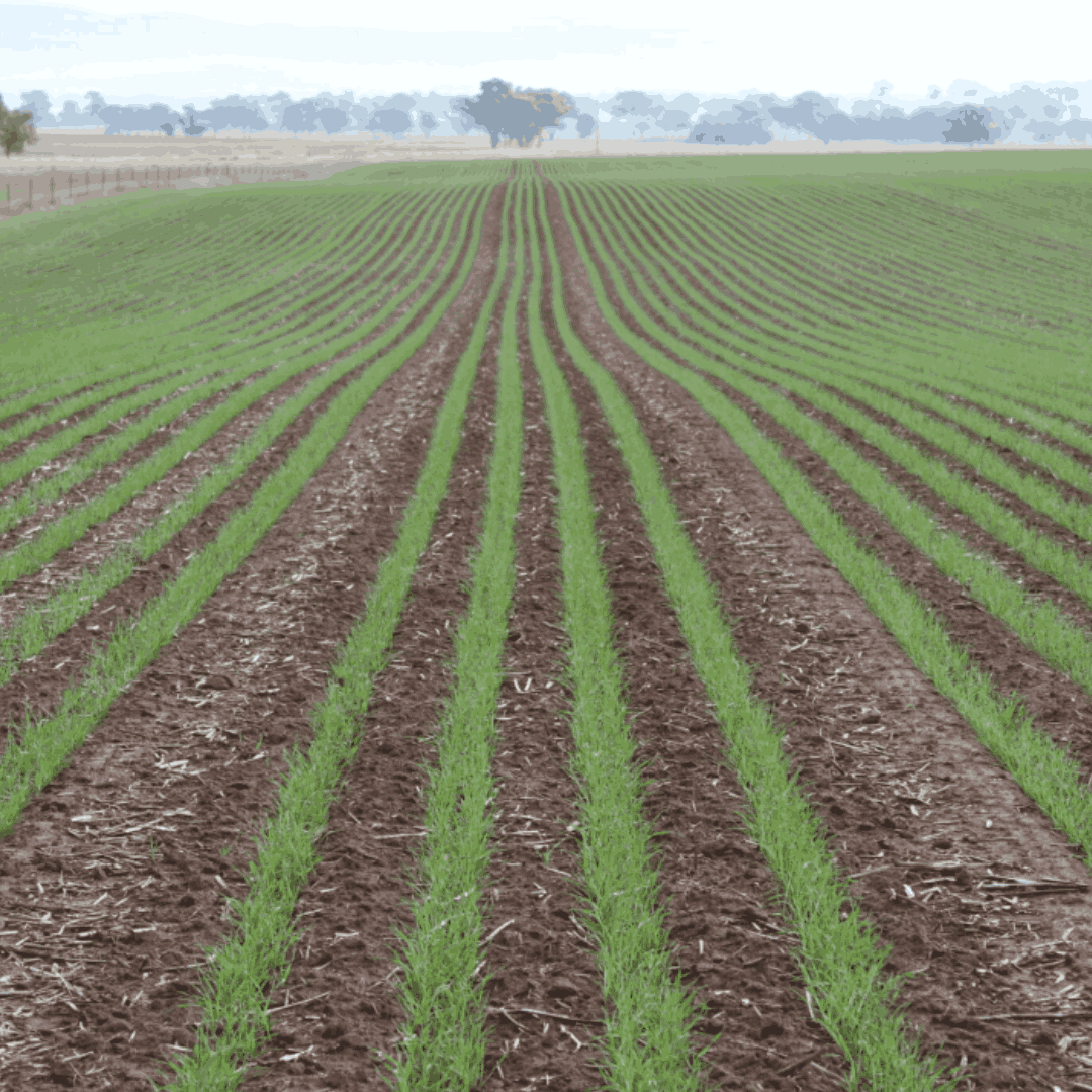 TramlineSystem (3)_24_11zon